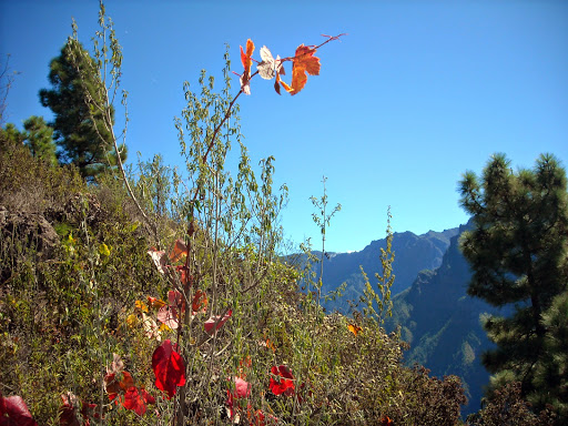 Caldera de Taburiente