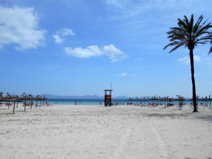 Alcudia