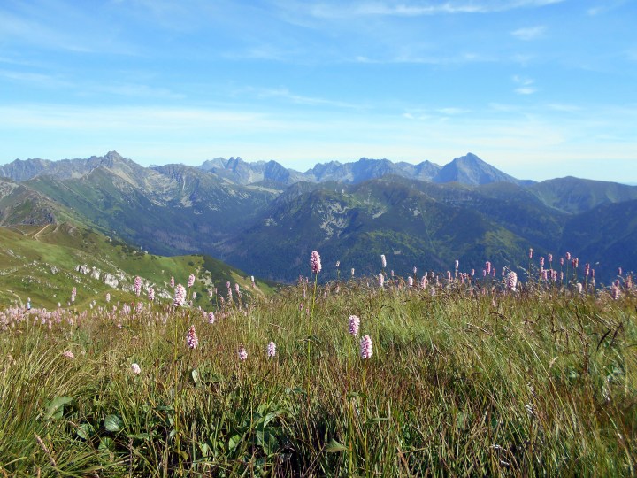 na Małołączniaku 2104 m.n.p.m