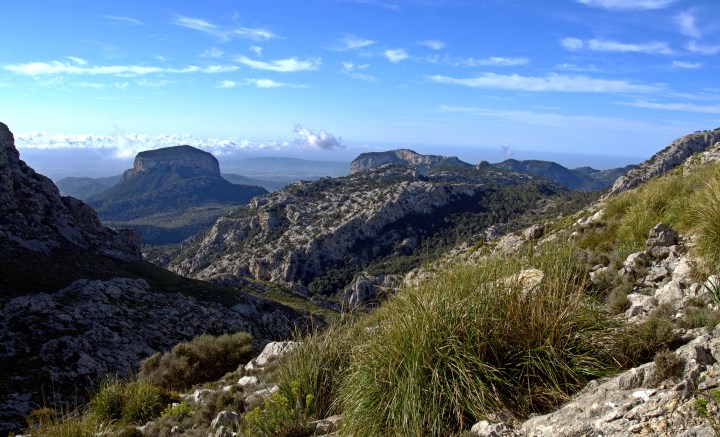 Majorka Tossals Verds