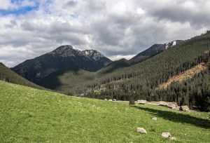 Polana Chochołowska wiosna maj szlak