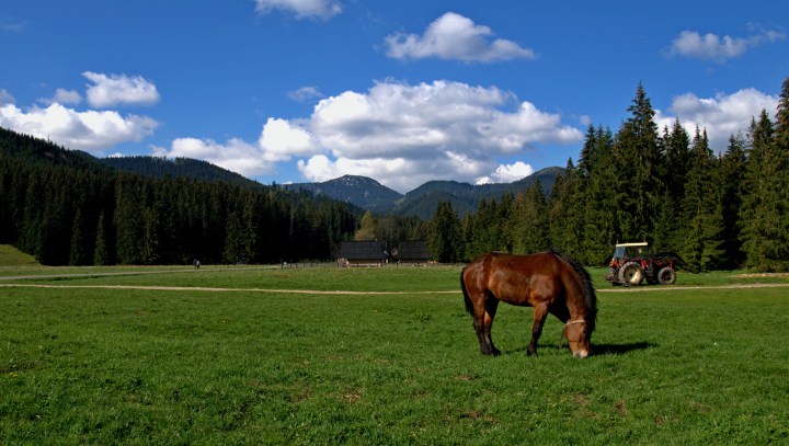 Dolina Chochołowska