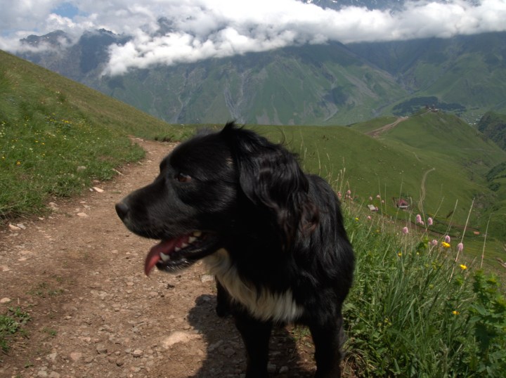 Gruzja trekking