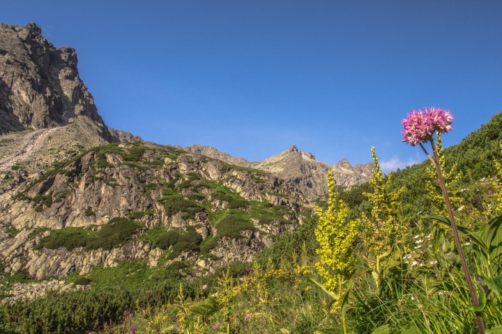 Zbójnicka Chata szlak