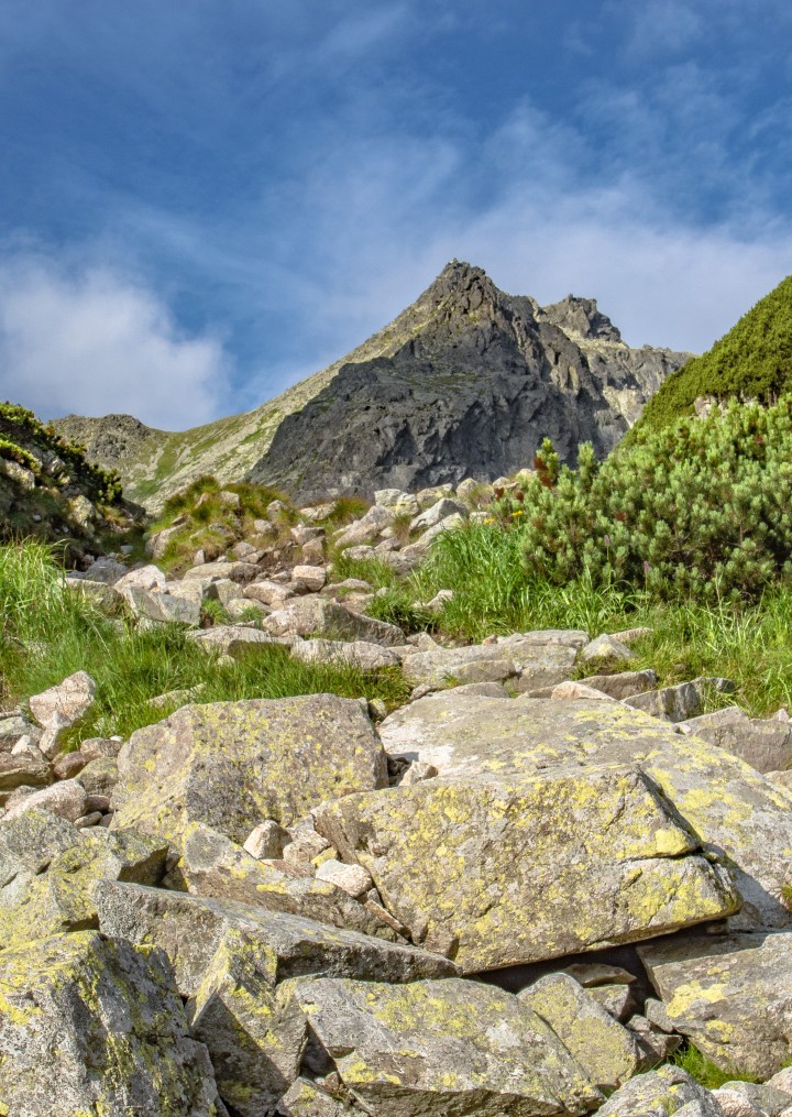 Dolina Staroleśna szlak