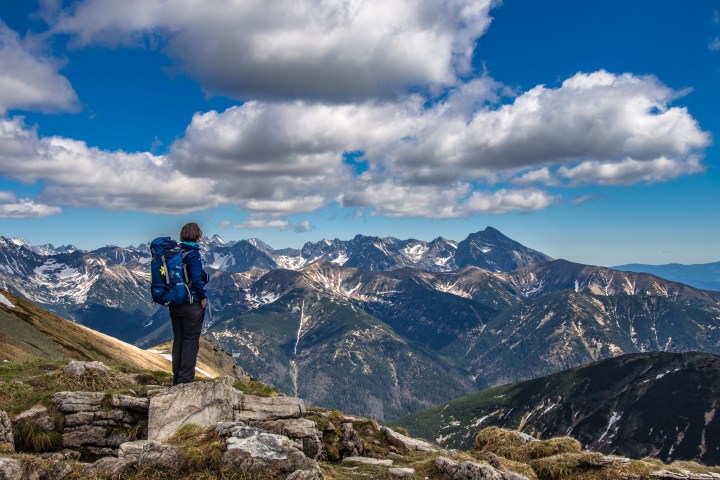 Ciemniak wiosna szlak