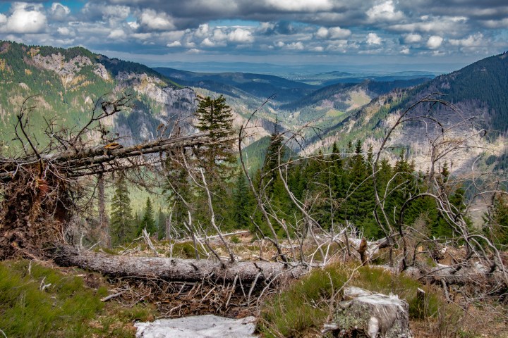 szlak Trzydniowiański