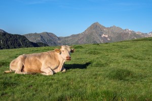 GR10 Bastan szlak Pireneje