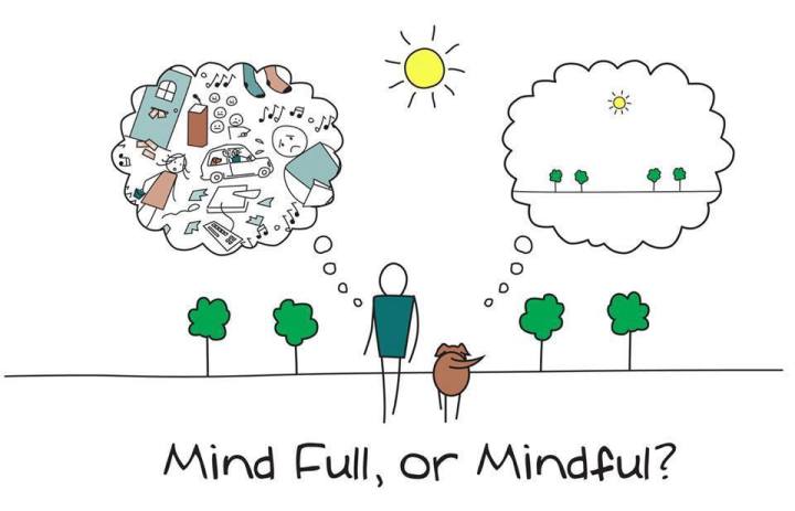 Mindfulness