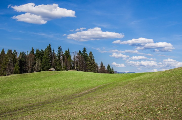 niebieski szlak Krościenko Czorsztyn wiosna