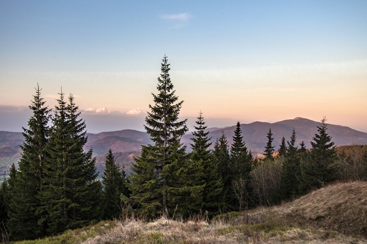 Babia Góra z Hali Miziowej zachód słońca