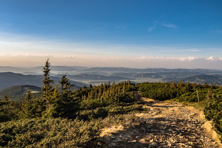 Pilsko żółty szlak wiosna
