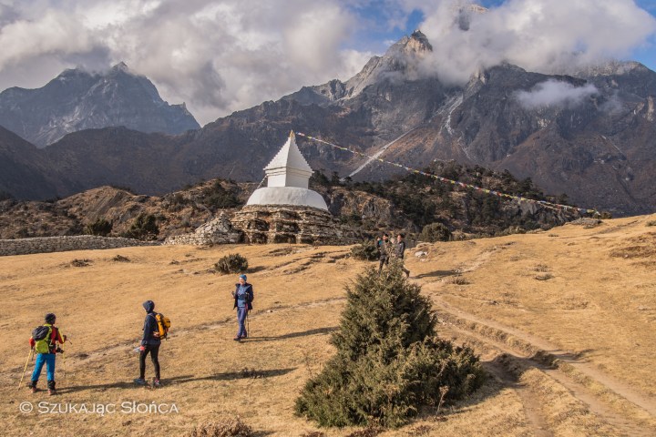 cholera, w którą stronę teraz?