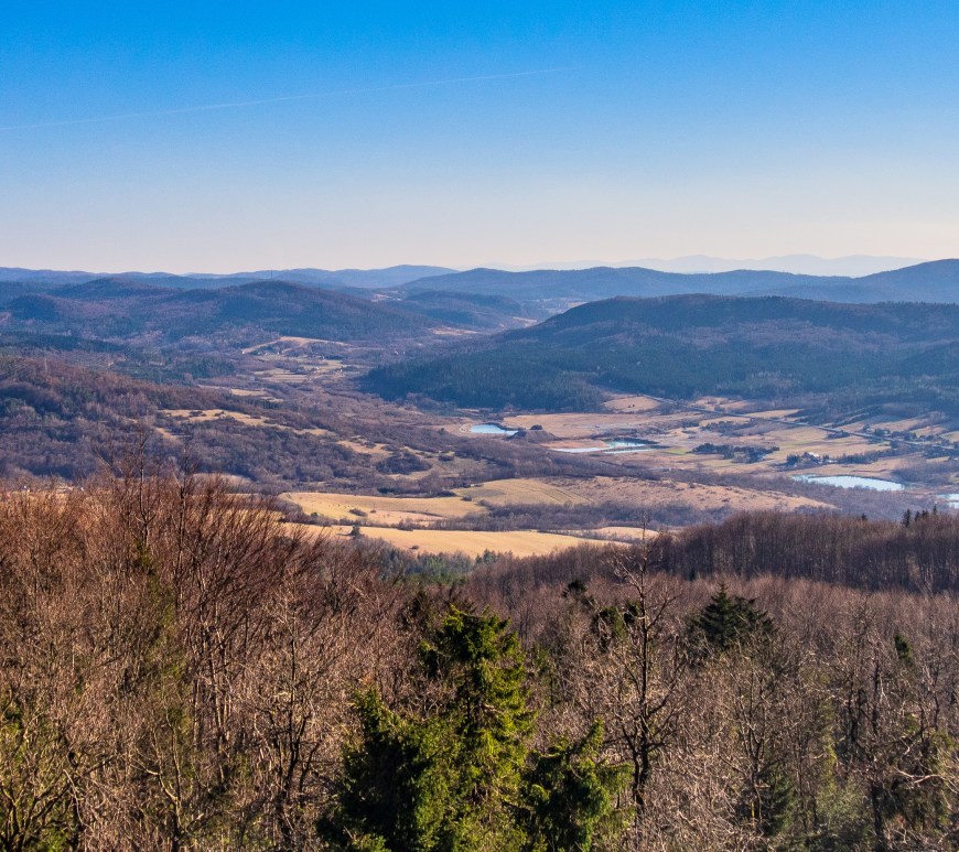 wieża widokowa na Cergowej widok na południe