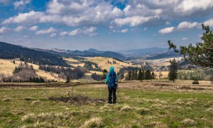 Pienieny Rozdziele szlaki wiosna