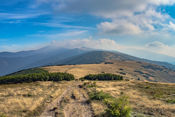 widoczność słabiutka