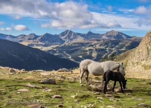 Andorra-cabana-sorda