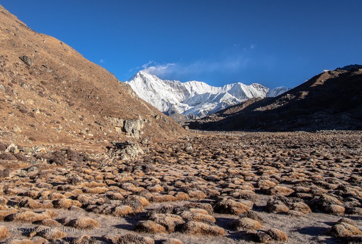 Cho Oyu i szron na kamieniach