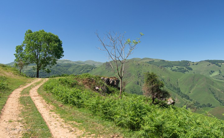 Saint Jean Pied de Port - Kaskoleta-szlak-GR10 Pireneje